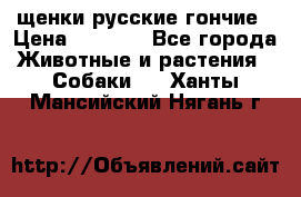 щенки русские гончие › Цена ­ 4 000 - Все города Животные и растения » Собаки   . Ханты-Мансийский,Нягань г.